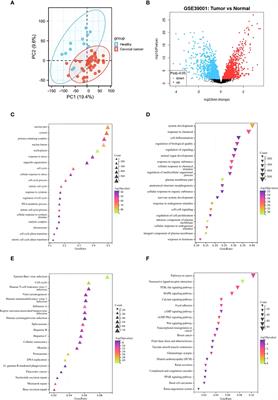 Identification and validation of novel biomarker TRIM8 related to cervical cancer